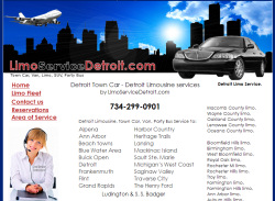 Detroit Limo Website Design