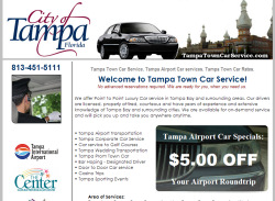 Tampa Limo Website Design