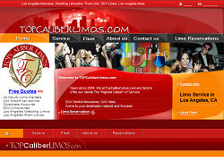 Los Angeles Limo Website Design